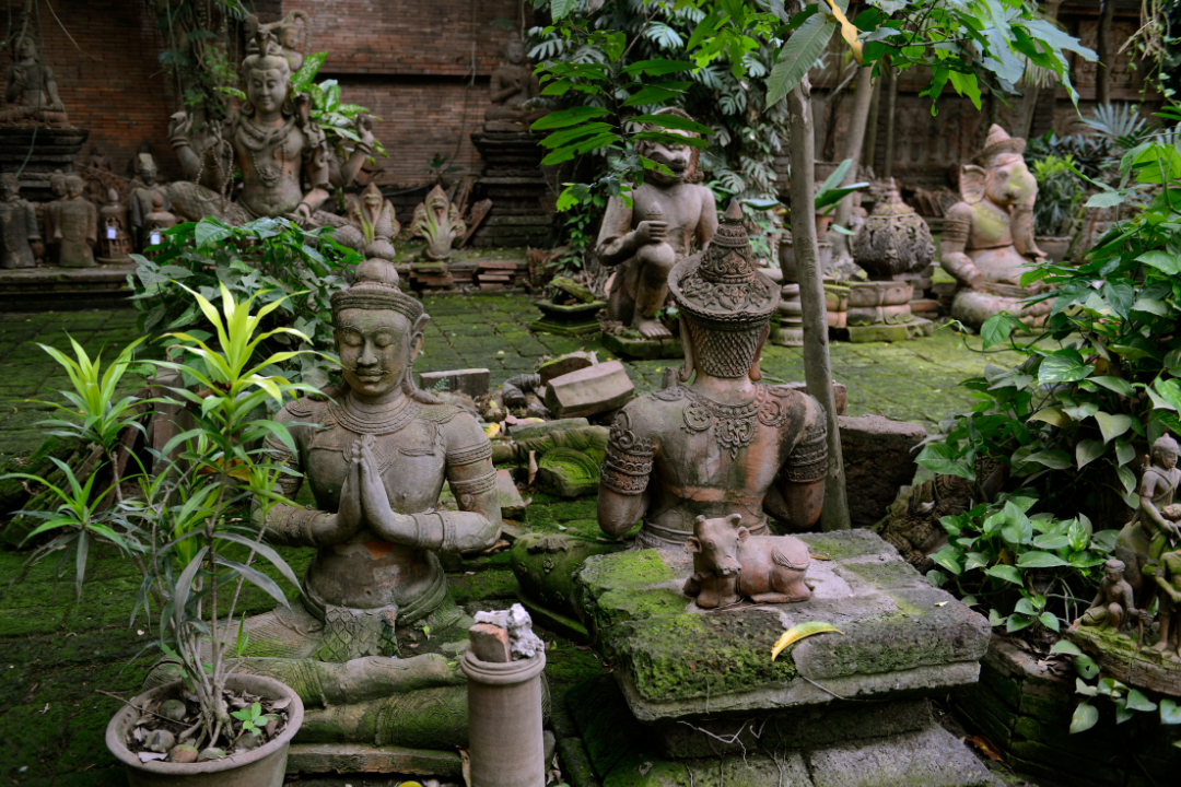 Terracotta Garden