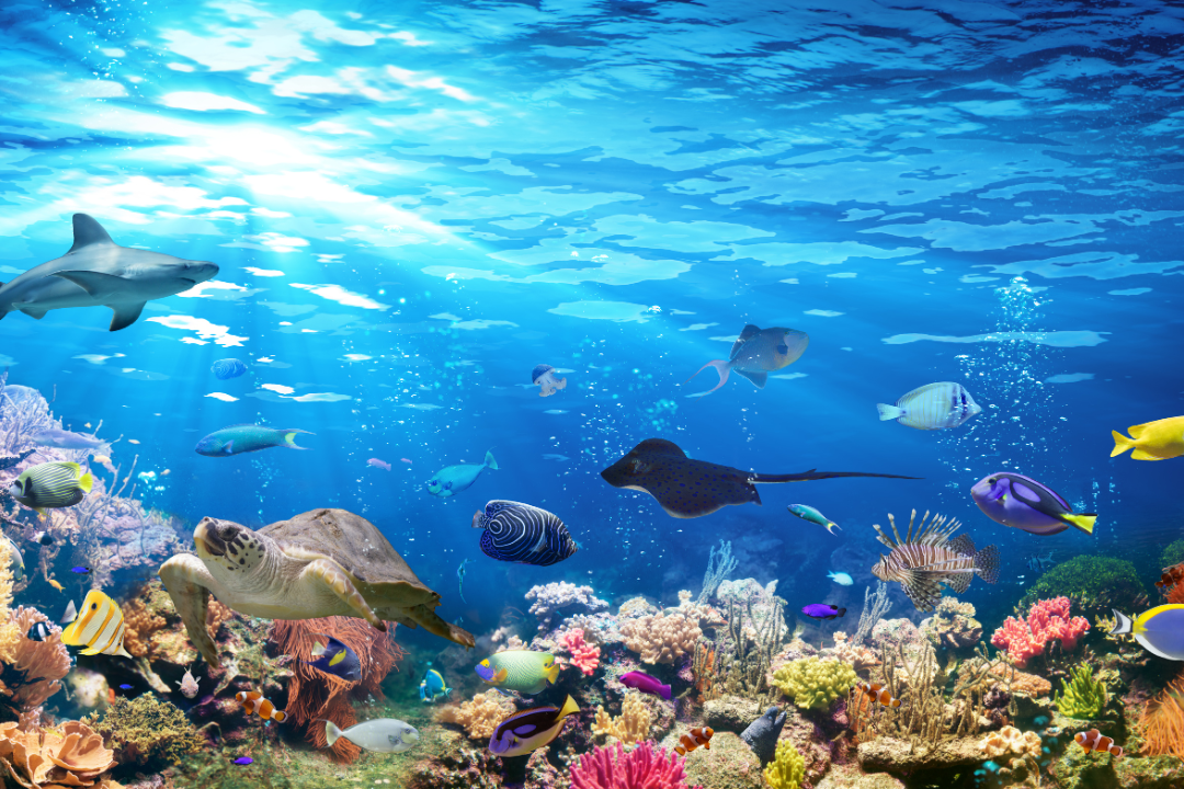 Sea Life Bangkok Ocean World